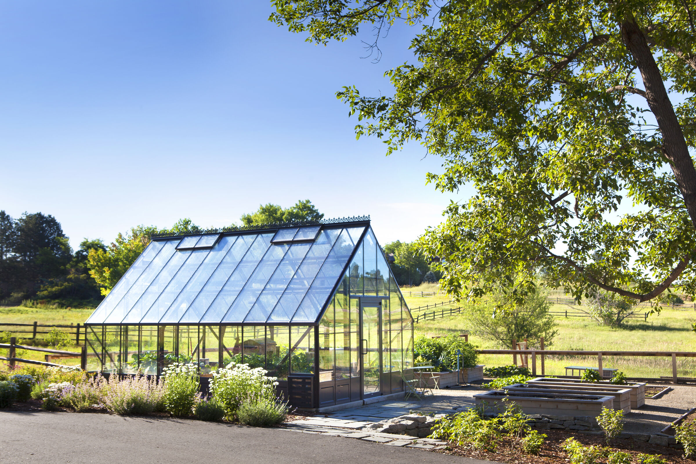 Caribou landscape view